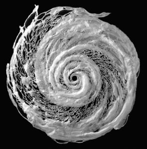Vortex